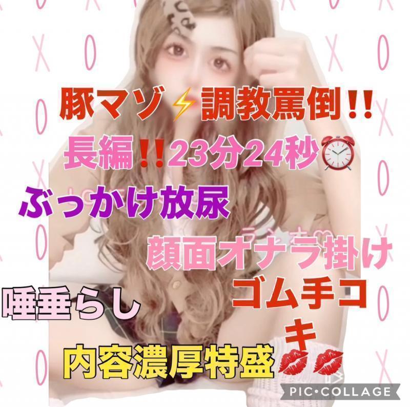 出品者名-写真-1